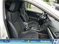 Subaru Impreza Exclusive 1.6i EU6d Allrad Navi CarPlay Sitzhzg. 1 Blanc - thumbnail 11