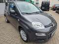 Fiat Panda Easy Klima EFH TOP ! Gris - thumbnail 3