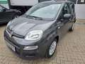 Fiat Panda Easy Klima EFH TOP ! Gris - thumbnail 1