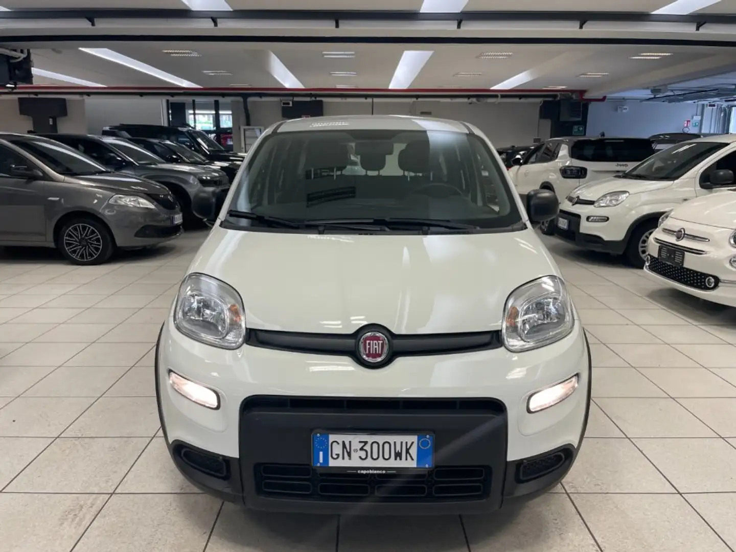 Fiat Panda 1.0 FireFly S&S Hybrid+5posti+RADIO BT Blanco - 2
