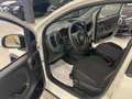 Fiat Panda 1.0 FireFly S&S Hybrid+5posti+RADIO BT Blanco - thumbnail 8