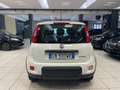 Fiat Panda 1.0 FireFly S&S Hybrid+5posti+RADIO BT Blanco - thumbnail 5