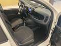 Fiat Panda 1.0 FireFly S&S Hybrid+5posti+RADIO BT Blanco - thumbnail 7