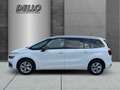 Citroen C4 Picasso Spacetourer Feel 1.5 BlueHDi 7-Sitzer ACC AHK-abne Blanc - thumbnail 2