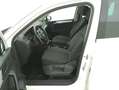 Volkswagen Tiguan Business 4MOTION DSG 2.0 Diesel 150CV Bianco - thumbnail 10