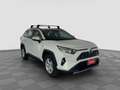 Toyota RAV 4 2.5 HV (222CV) E-CVT AWD-i Busines Bianco - thumbnail 7
