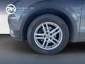 Volkswagen Tiguan Highline TDI SCR DSG Grau - thumbnail 7