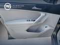 Volkswagen Tiguan Highline TDI SCR DSG Grau - thumbnail 9