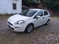 Fiat Punto 5p 1.2 Classic Active - thumbnail 1