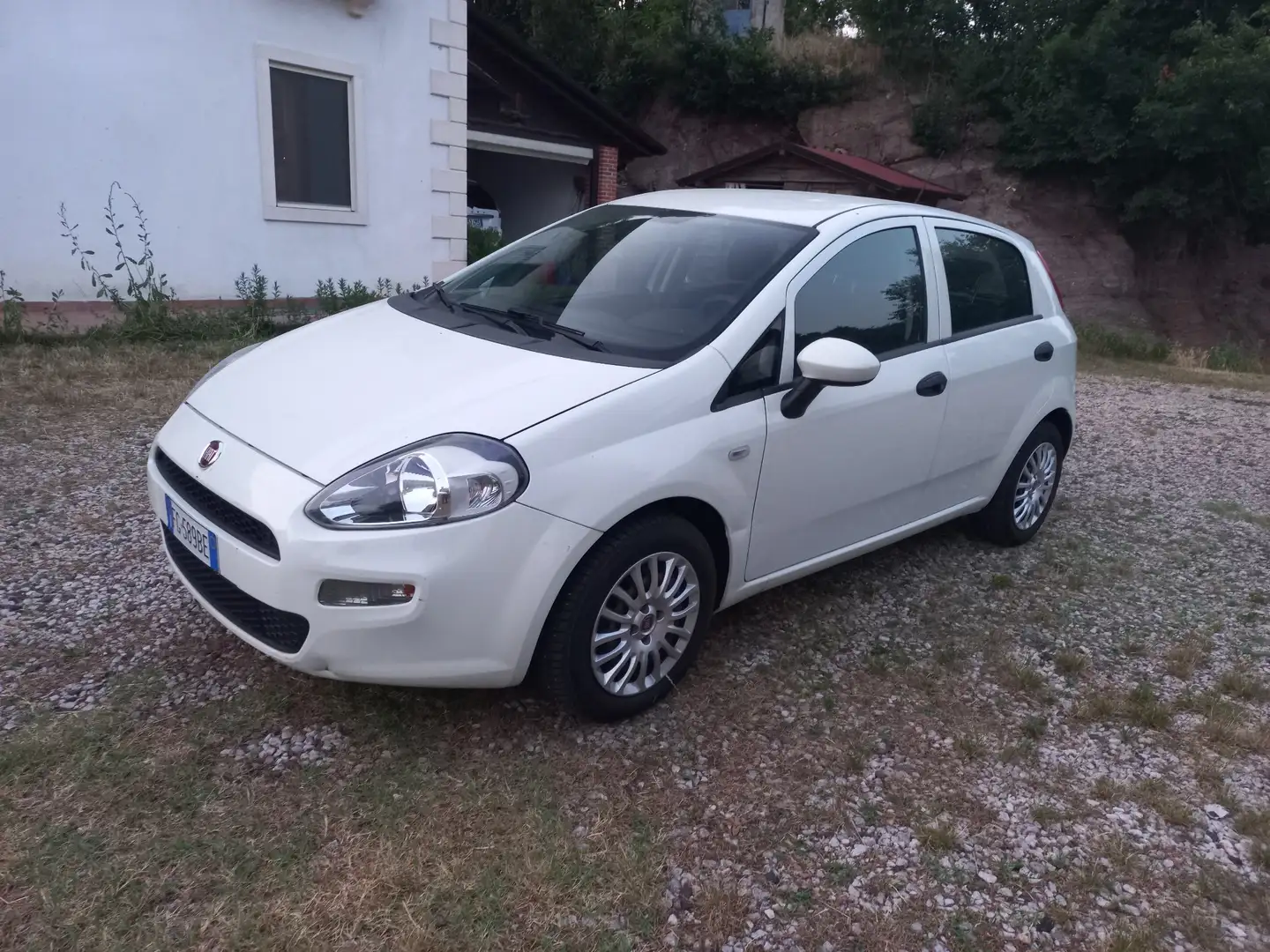 Fiat Punto 5p 1.2 Classic Active - 1