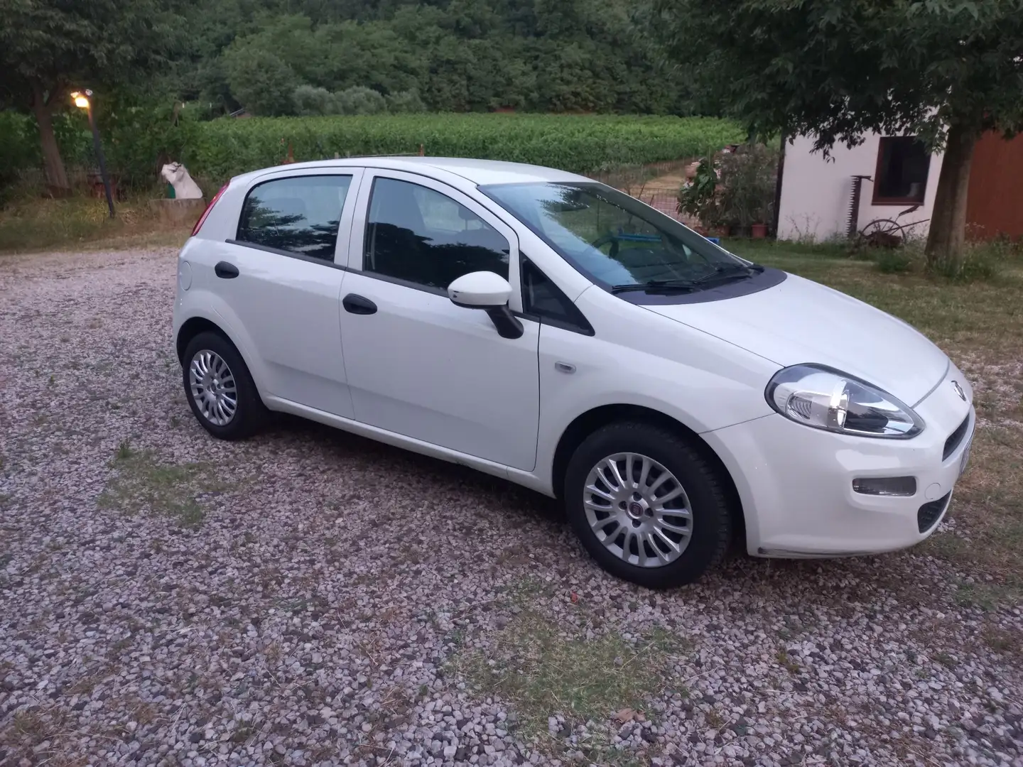 Fiat Punto 5p 1.2 Classic Active - 2