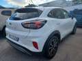 Ford Puma Puma 1.5 EcoBlue 120 CV S&S Titanium Blanc - thumbnail 4