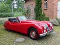 Jaguar XK 140 DHC - Fünfgang-Getriebe Rot - thumbnail 6
