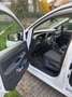 Volkswagen Caddy Caddy Maxi 2,0 TDI Weiß - thumbnail 4