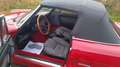 Alfa Romeo Spider Quadrifoglio Verde Rouge - thumbnail 8