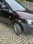 Volkswagen Caddy Caddy Kombi Trendline 1,2 TSI Trendline Violett - thumbnail 5