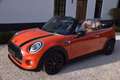 MINI Cooper Cabrio Mini Cooper Cabrio Aut. Orange - thumbnail 27
