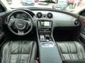 Jaguar XJ Premium Luxury Scheckheft 4x Sitzlüftung Pano Negru - thumbnail 10
