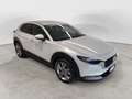Mazda CX-30 e-Skyactiv-G M Hybrid 2WD Centre Line + Design Pa Grigio - thumbnail 1