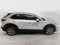 Mazda CX-30 e-Skyactiv-G M Hybrid 2WD Centre Line + Design Pa Grigio - thumbnail 8