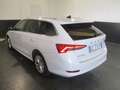 Skoda Octavia Wagon 2.0 tdi evo Ambition 115cv - GC515YF Bianco - thumbnail 4