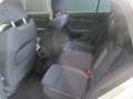 Skoda Octavia Wagon 2.0 tdi evo Ambition 115cv - GC515YF Bianco - thumbnail 8
