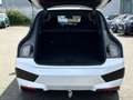 BMW iX xDrive40 Head-Up DAB LED RFK AHK el. Sitze Weiß - thumbnail 7