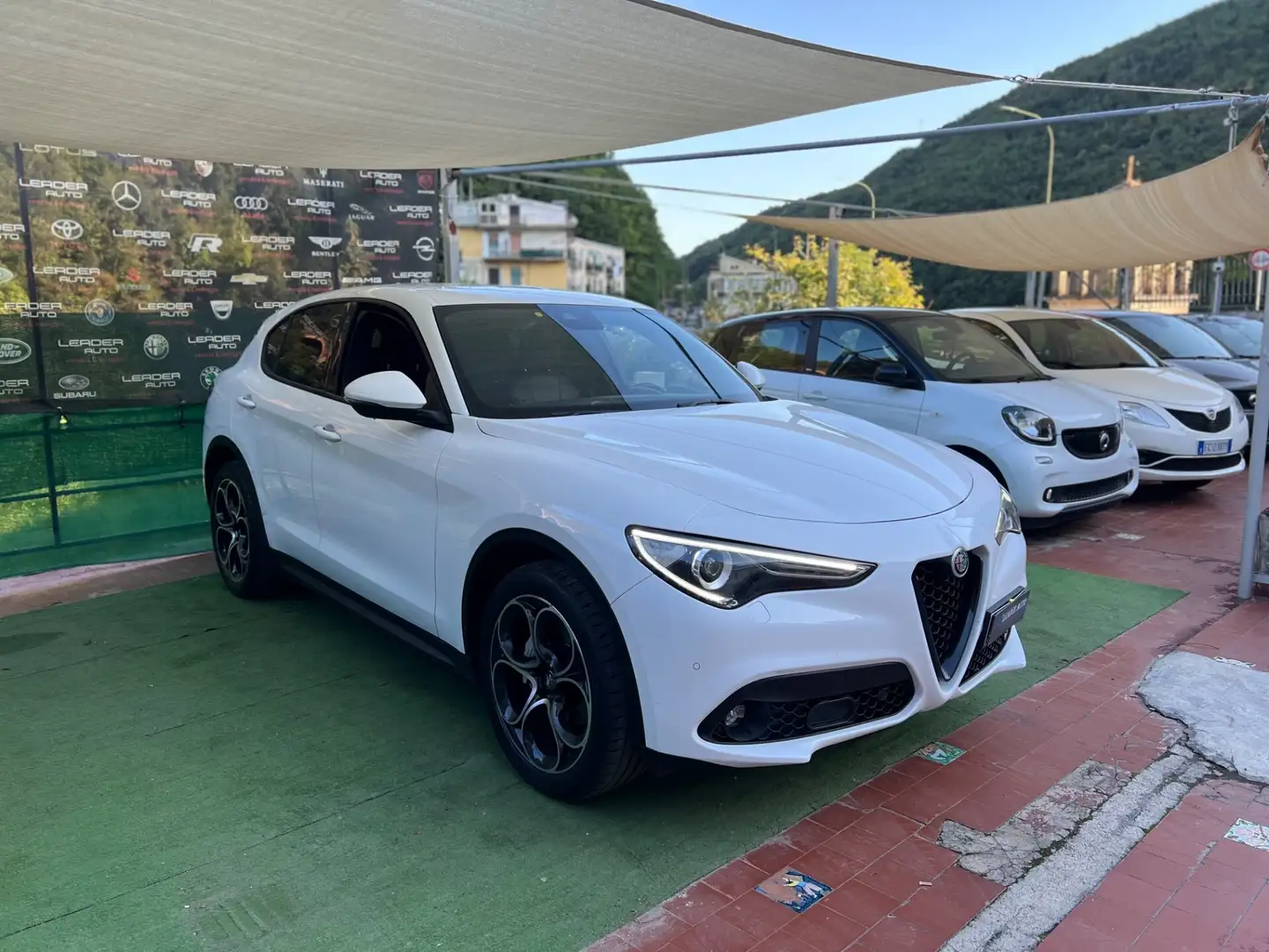 Alfa Romeo Stelvio Stelvio 2.2 Turbodiesel 190 CV AT8 Q4 Business Blanc - 1