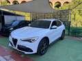Alfa Romeo Stelvio Stelvio 2.2 Turbodiesel 190 CV AT8 Q4 Business Blanc - thumbnail 3