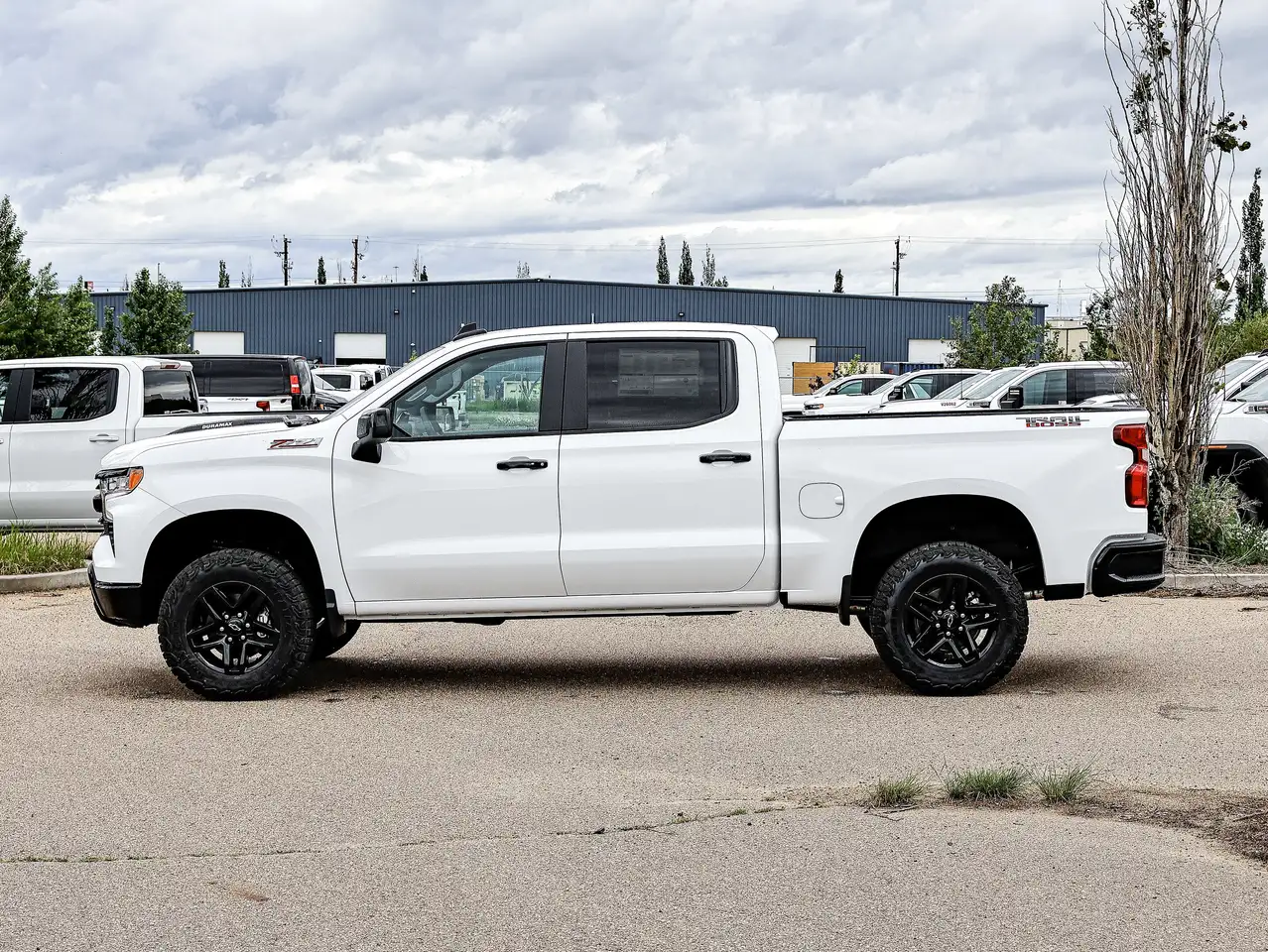 Chevrolet Silverado 1500 photo Chevrolet Silverado 1500