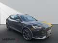 CUPRA Formentor 2.0 VZ 4Drive*Navi*LED*360*Kamera* Schwarz - thumbnail 3