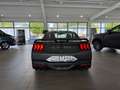 Ford Mustang FASTBACK COUPE DARK HORSE 5.0l V8 Automatik Grigio - thumbnail 6