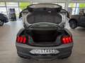 Ford Mustang FASTBACK COUPE DARK HORSE 5.0l V8 Automatik Grau - thumbnail 18