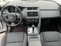 Jaguar E-Pace 2.0D 150 CV AWD aut. Bianco - thumbnail 9