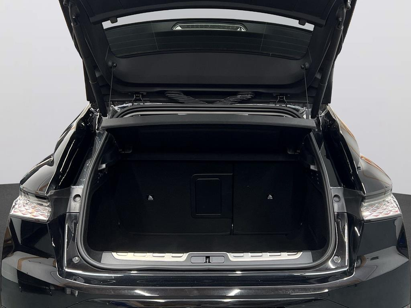 DS Automobiles DS 4 PERFORMANCE LINE PureTech 130 — photo 8