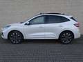Ford Kuga 2.5 PHEV 225 PK ST-Line X | Pano dak | 20 inch | P Blanc - thumbnail 8