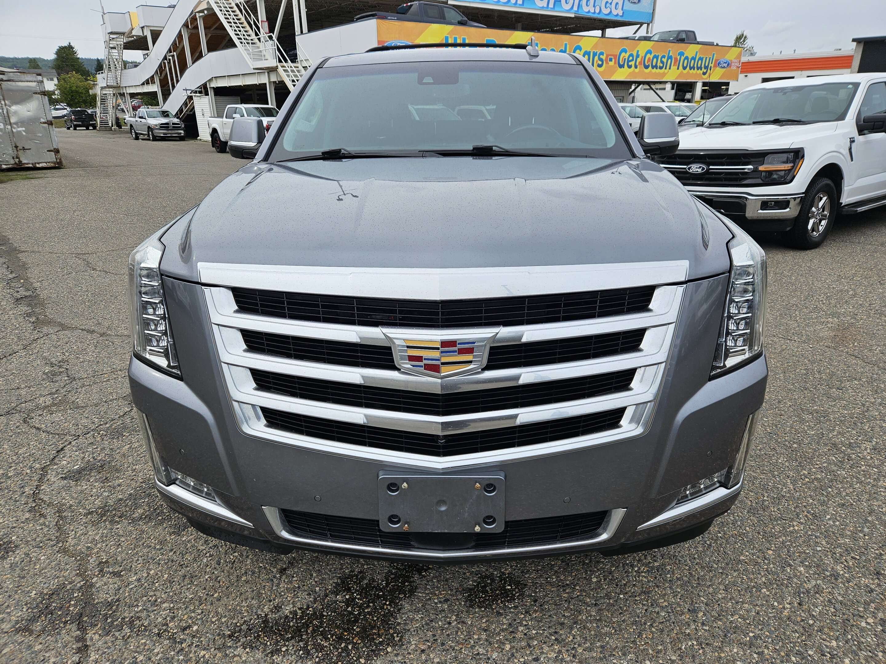 Gray (Satin Steel Metallic) 2019 Cadillac Escalade SUV / Crossover Four-Wheel Drive Automatic