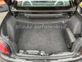 Peugeot 206 Cabriolet CC Roland Garros/ ZAHNRIEMEN NEU Schwarz - thumbnail 16