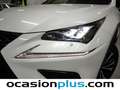 Lexus NX 300 300h F Sport Panorámico 4WD Blanco - thumbnail 22