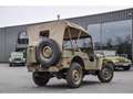 Jeep Willys MB 1944 Verde - thumbnail 18