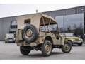 Jeep Willys MB 1944 Verde - thumbnail 17