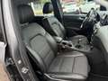 Mercedes-Benz B 180 B 180 d Business OK NEOPATENTATI Gris - thumbnail 19