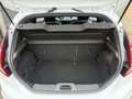 Ford Fiesta 1.0 EcoBoost ST Line nw distributie Weiß - thumbnail 33