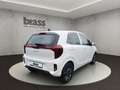 Kia Picanto PICANTO PE2 1.0 GDI MT VISION Blanc - thumbnail 5