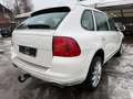 Porsche Cayenne Weiß - thumbnail 4