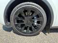 Tesla Model Y Model Y Long Range AWD 79kWh+Boost+19" WR Weiß - thumbnail 3