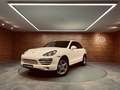 Porsche Cayenne S HYBRID Blanco - thumbnail 41