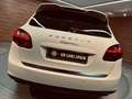 Porsche Cayenne S HYBRID Blanco - thumbnail 19