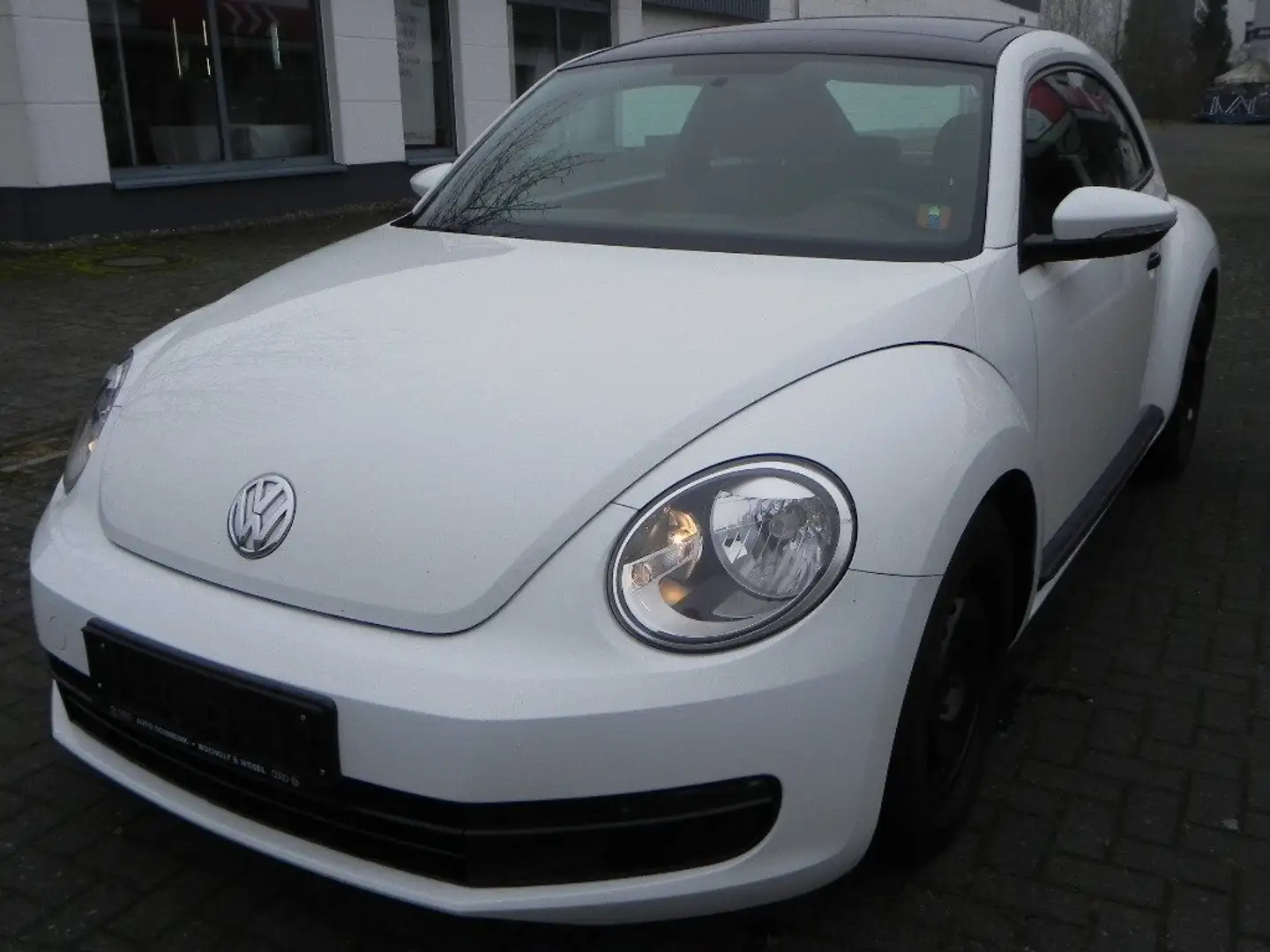 Volkswagen Beetle CONFORTLEINE BMT STRAT/STOP Weiß - 1
