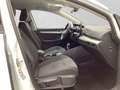 Volkswagen Golf Variant 1.5 TSI 150PS LIFE ST.HEIZ LED PDC Weiß - thumbnail 4